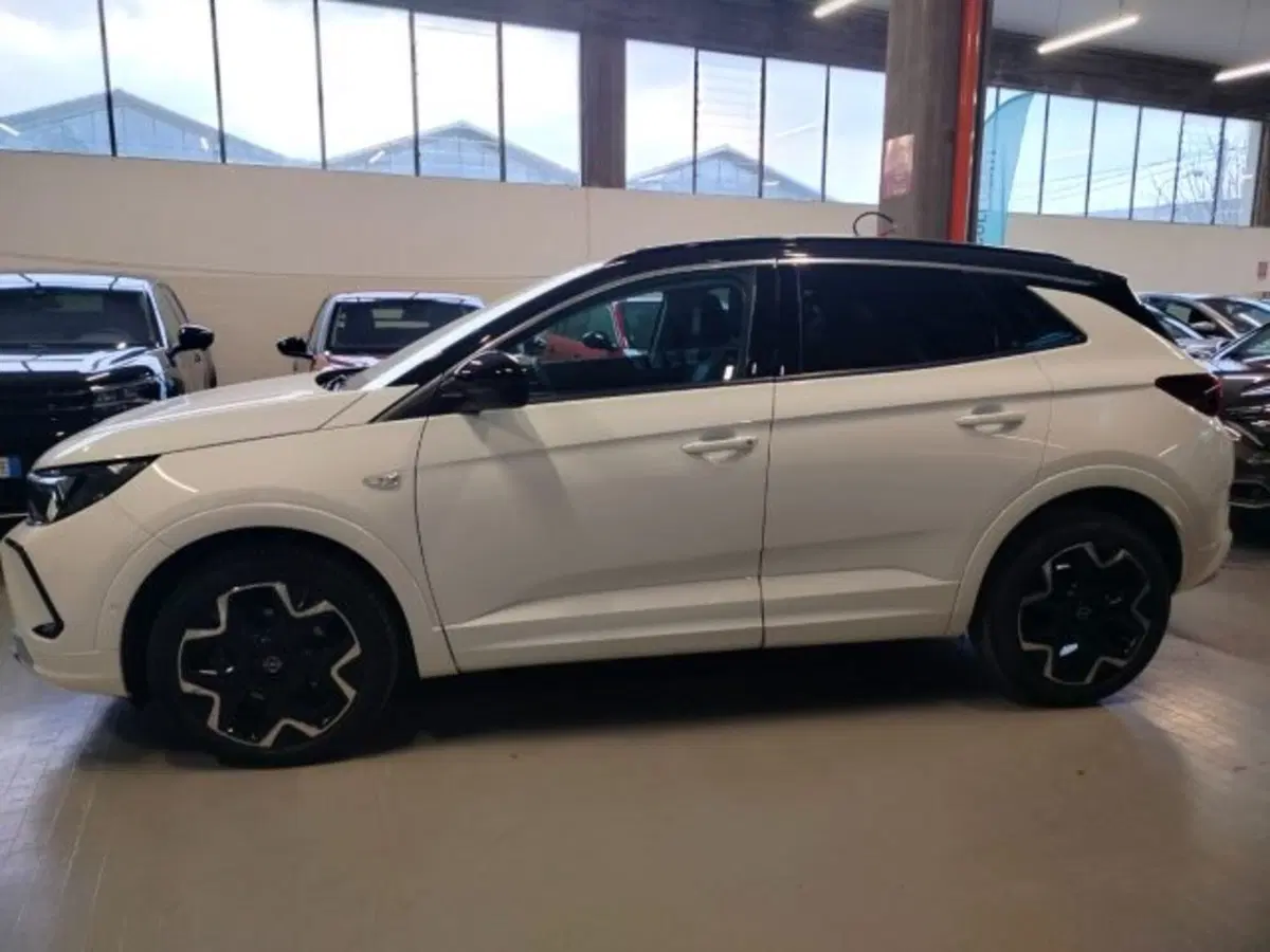 Opel Grandland usata a Forlì-Cesena (13)