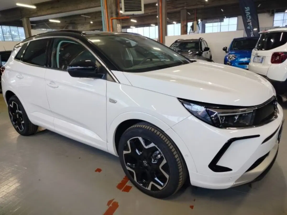 Opel Grandland usata a Forlì-Cesena (6)