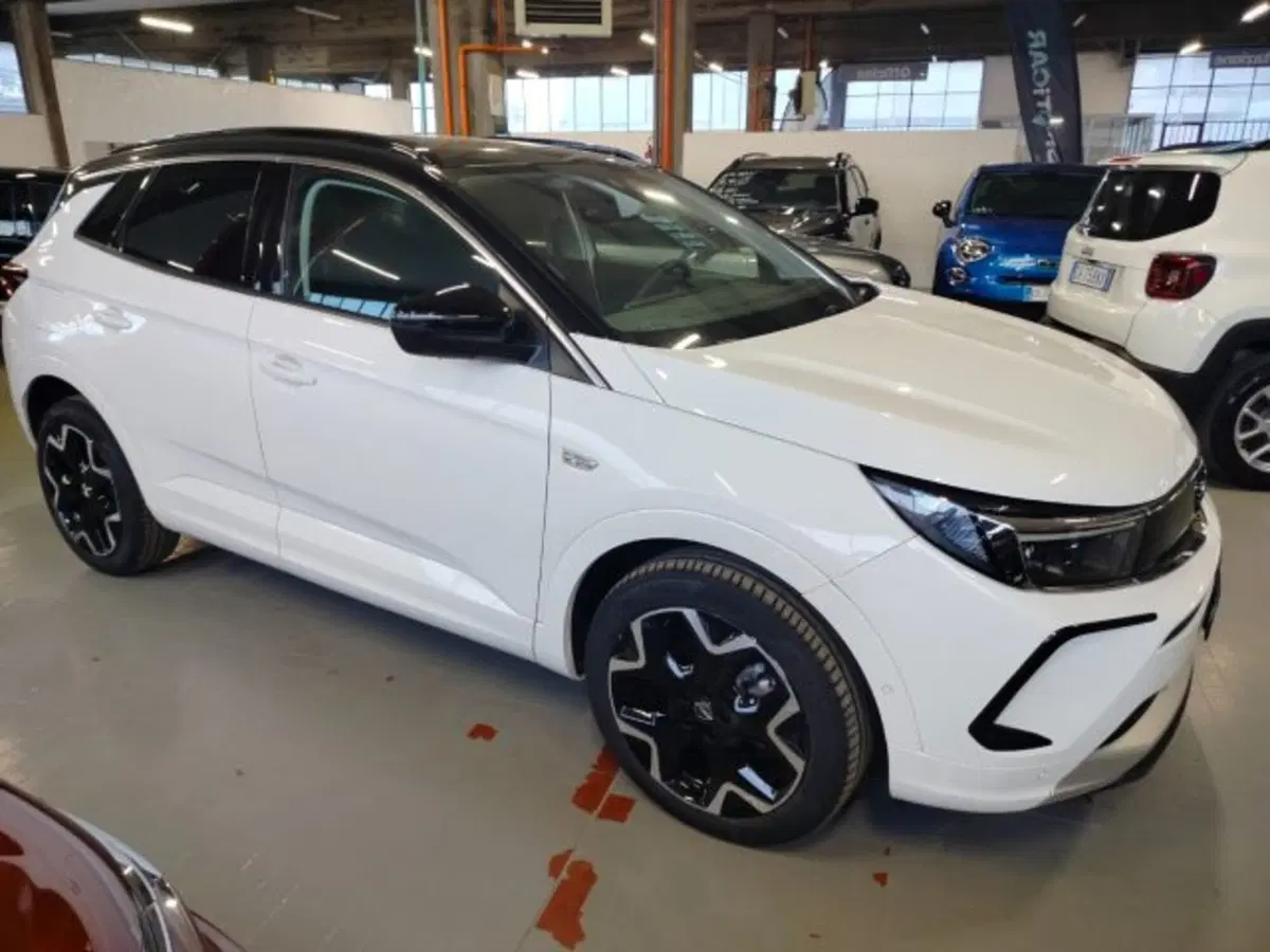 Opel Grandland usata a Forlì-Cesena (7)