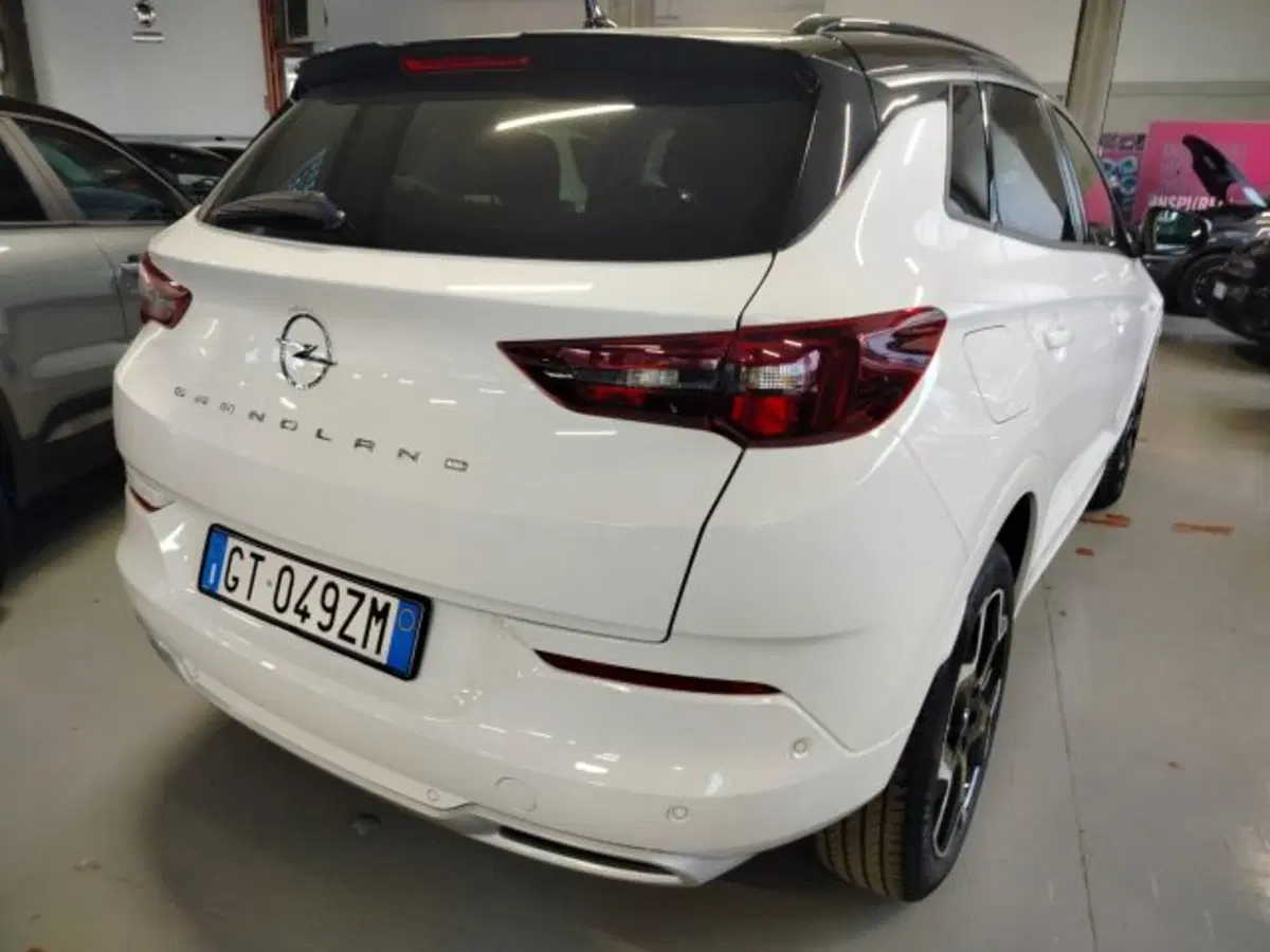 Opel Grandland usata a Forlì-Cesena (9)