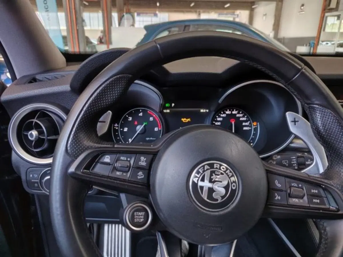 Alfa Romeo Stelvio usata a Forlì-Cesena (16)