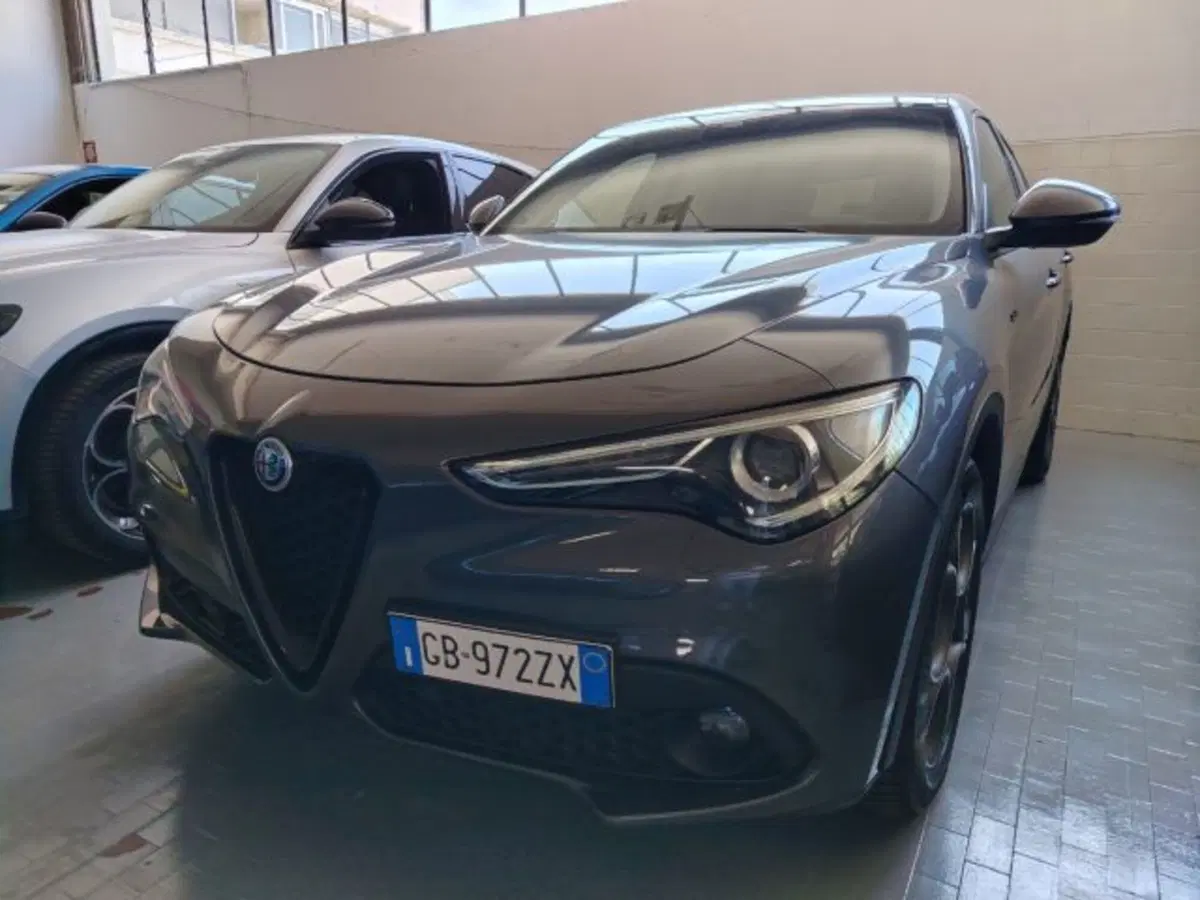Alfa Romeo Stelvio usata a Forlì-Cesena (3)