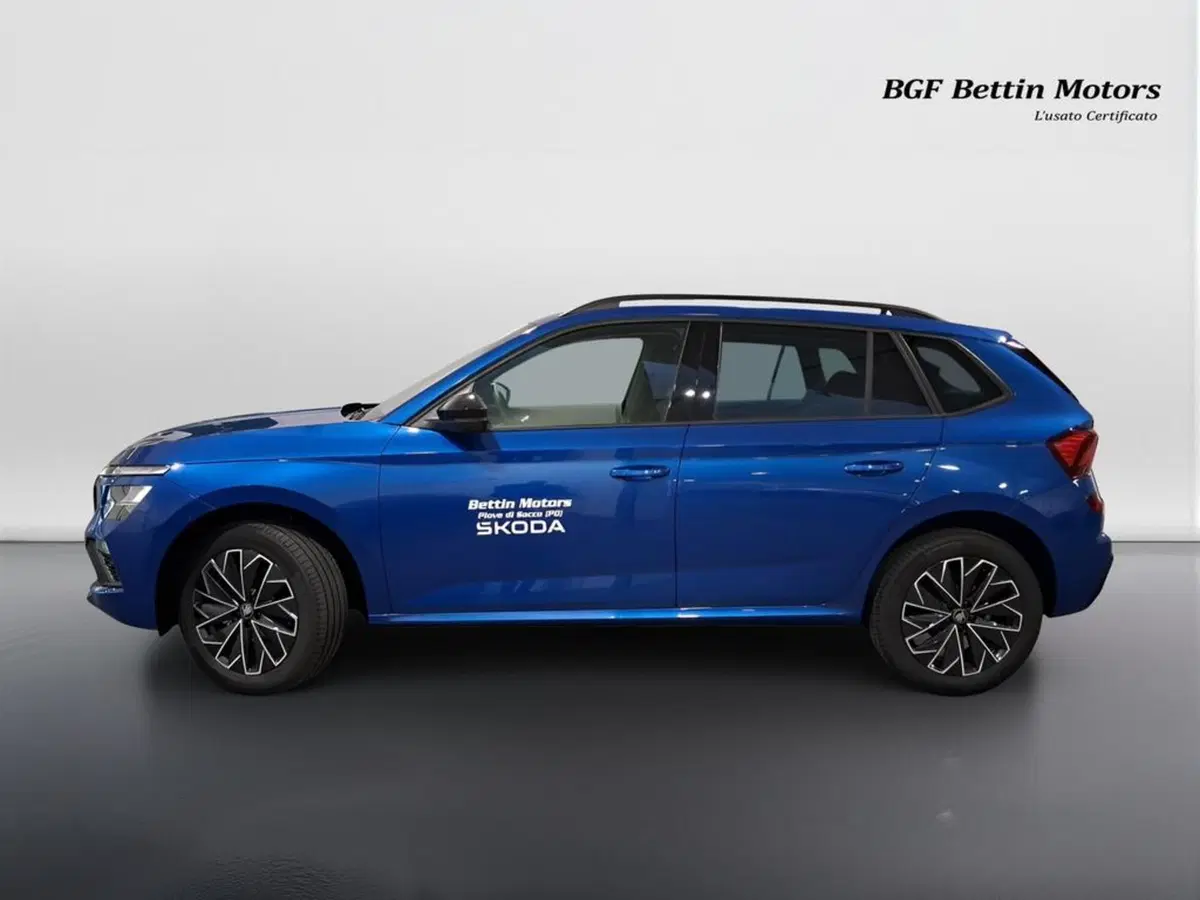 Skoda Kamiq usata a Padova (2)