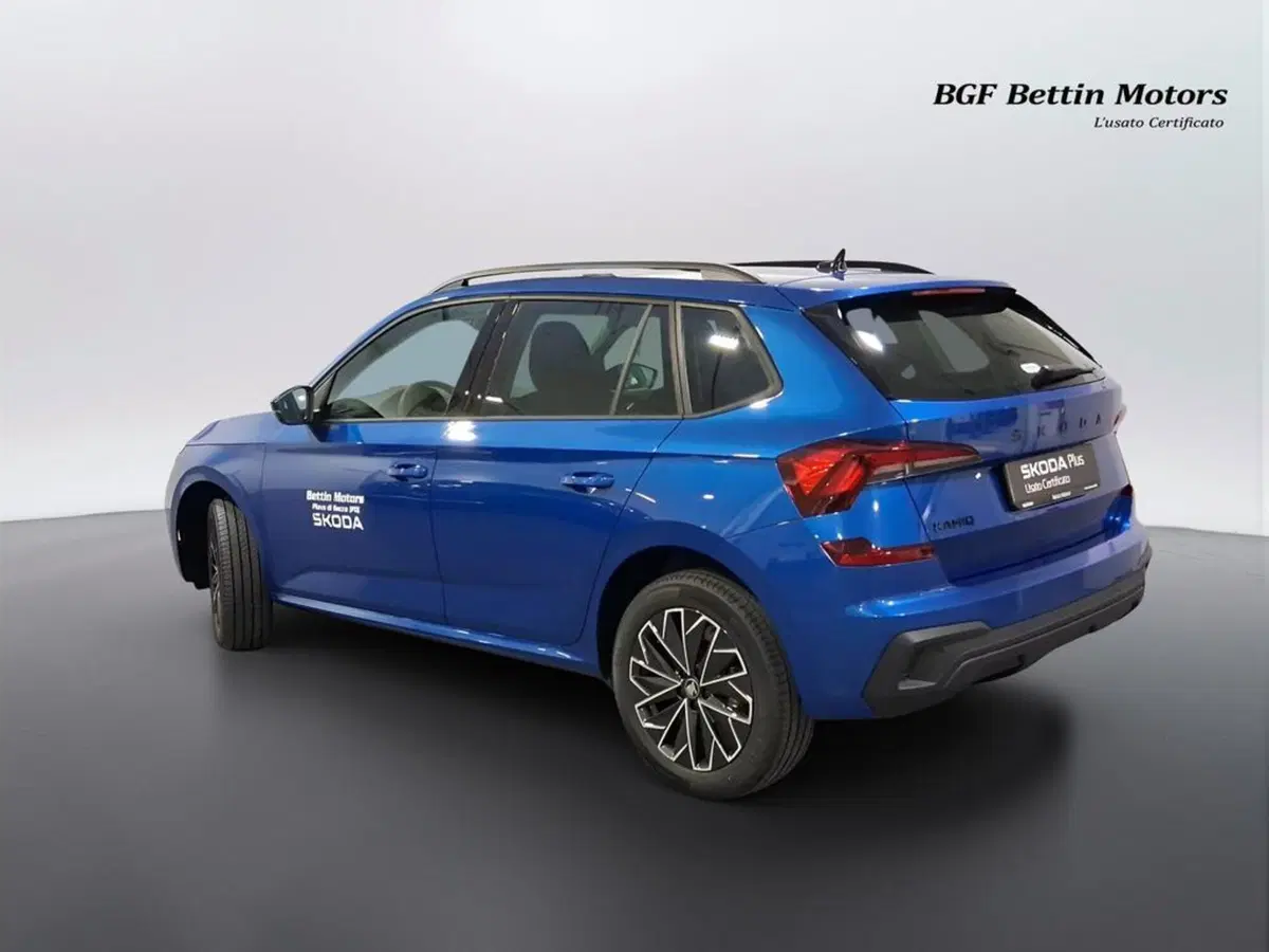Skoda Kamiq usata a Padova (3)