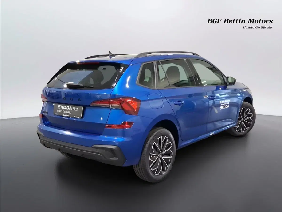 Skoda Kamiq usata a Padova (4)