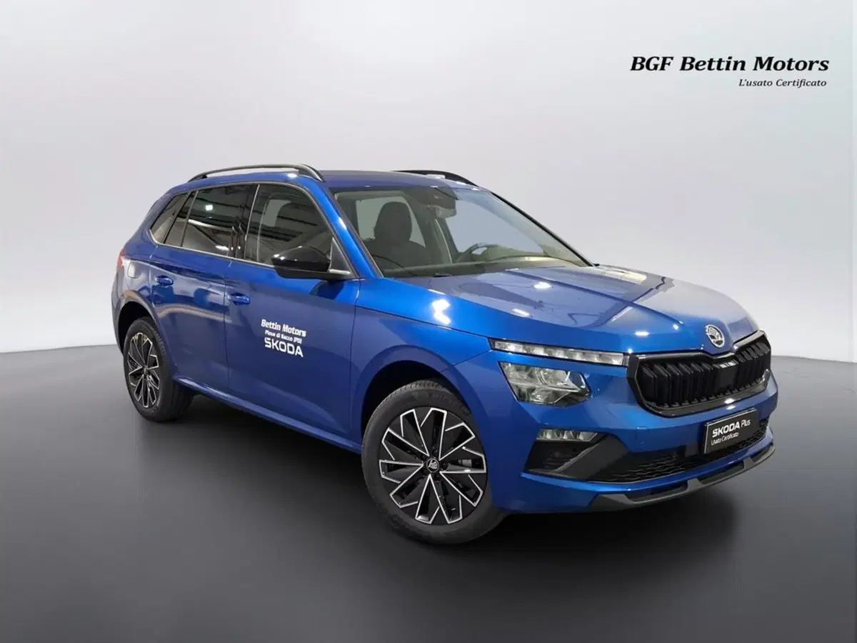 Skoda Kamiq usata a Padova (6)