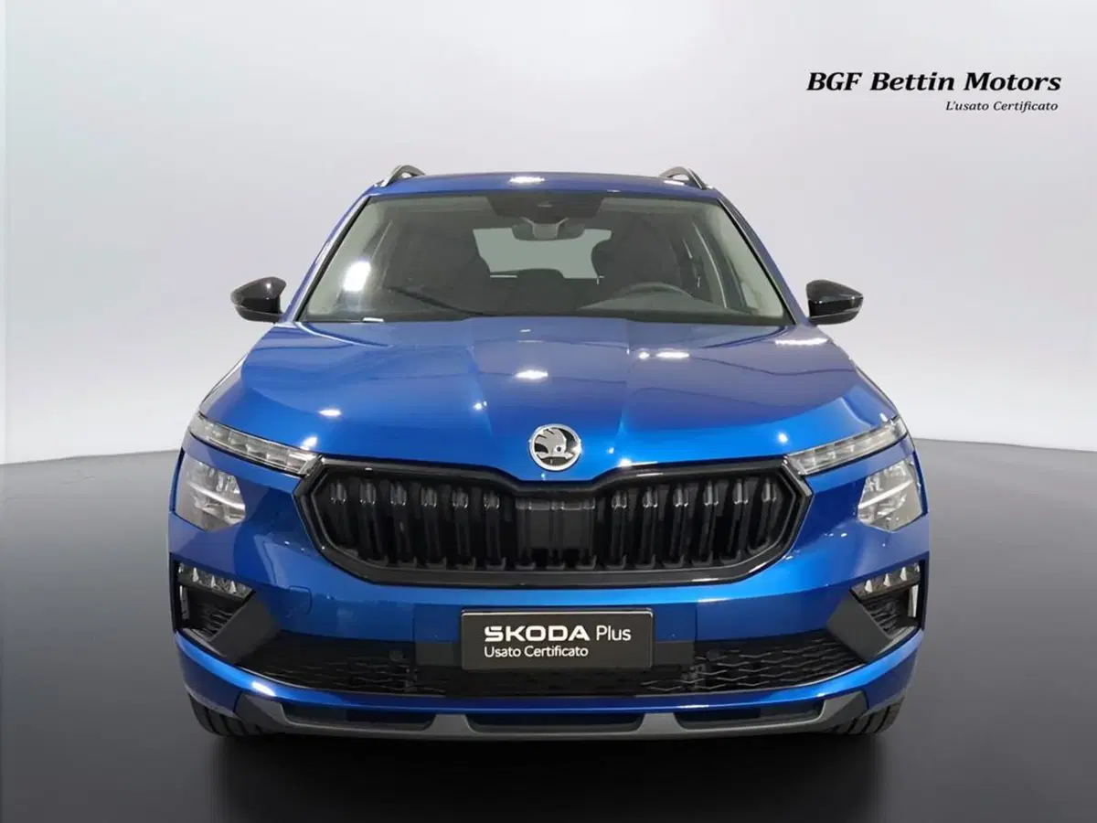Skoda Kamiq usata a Padova (7)