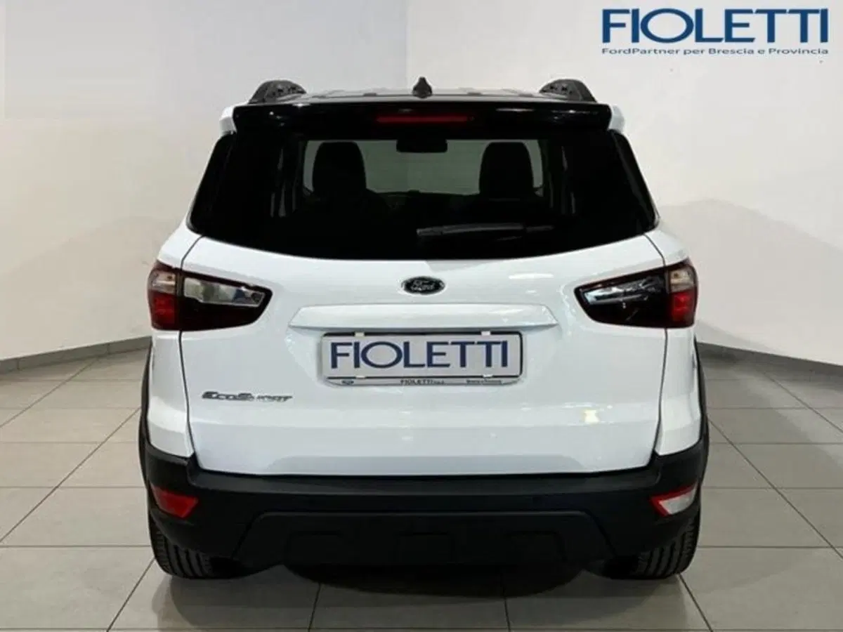 Ford EcoSport usata a Brescia (11)