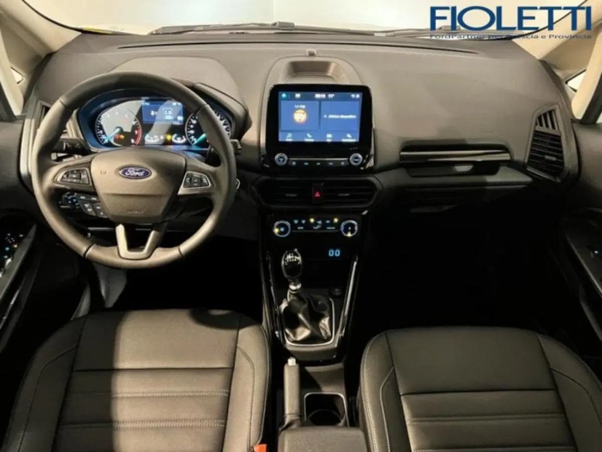 Ford EcoSport usata a Brescia (12)