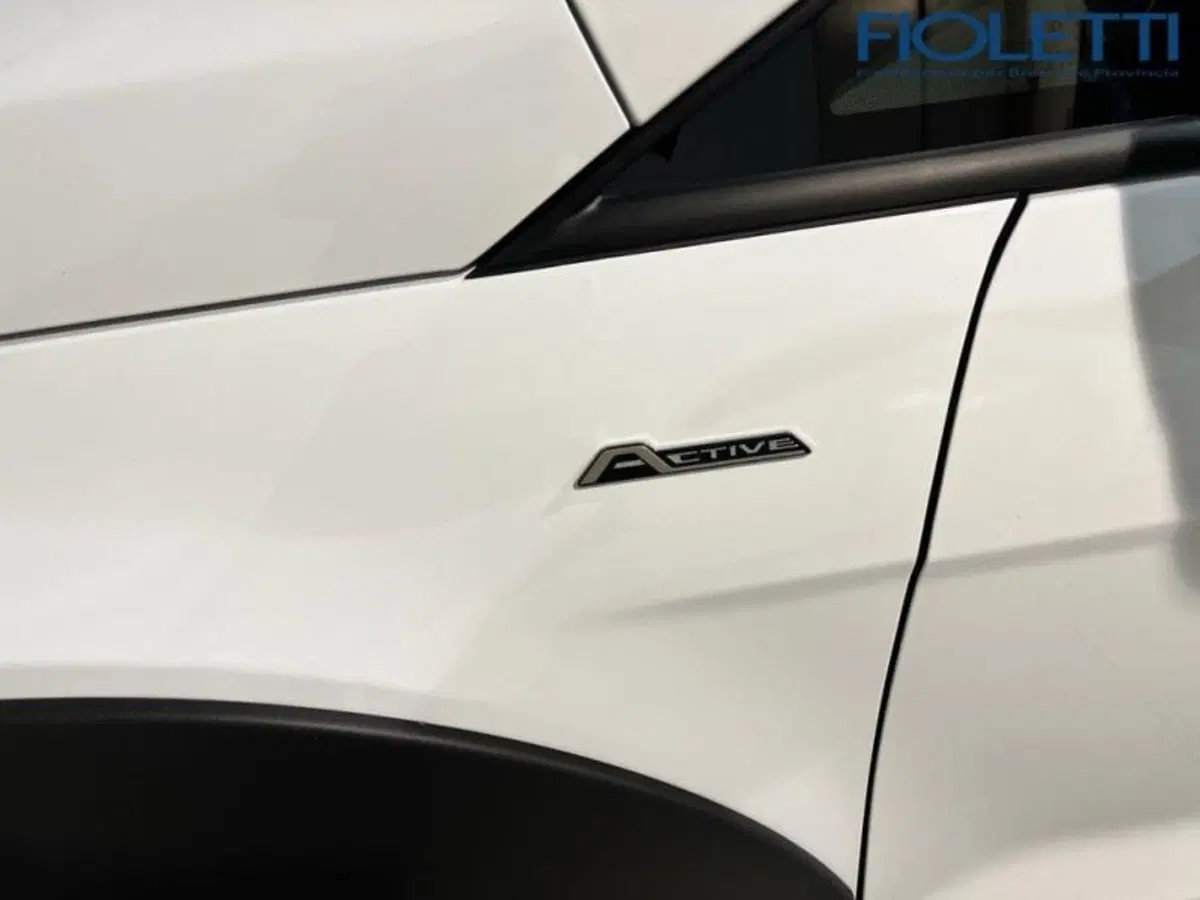 Ford EcoSport usata a Brescia (7)