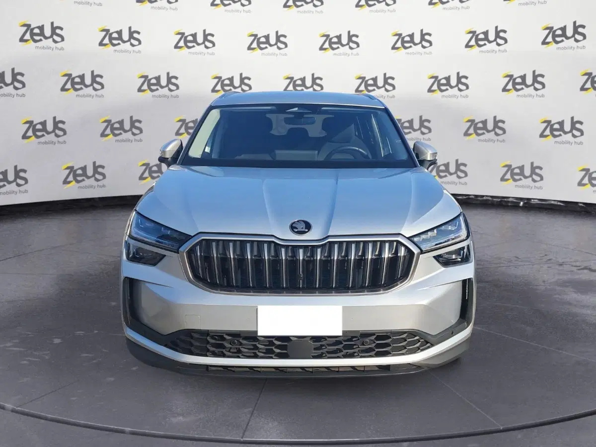 Skoda Kodiaq usata a Ravenna (2)