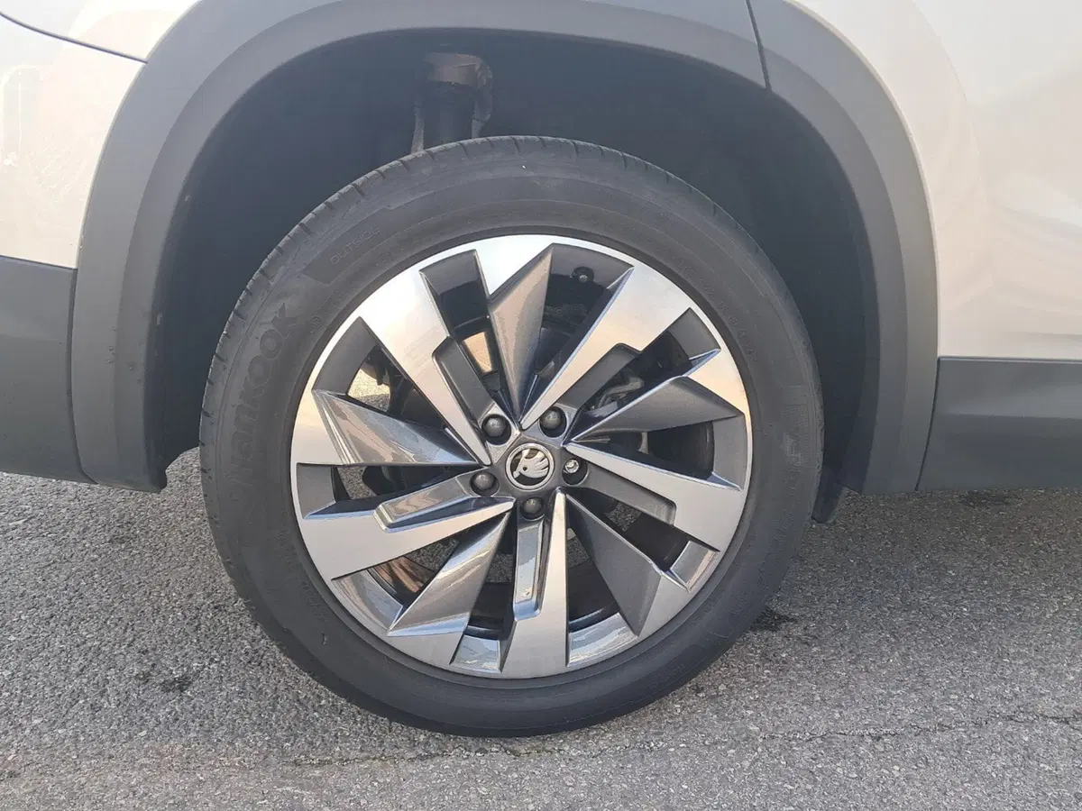 Skoda Kodiaq usata a Ravenna (9)