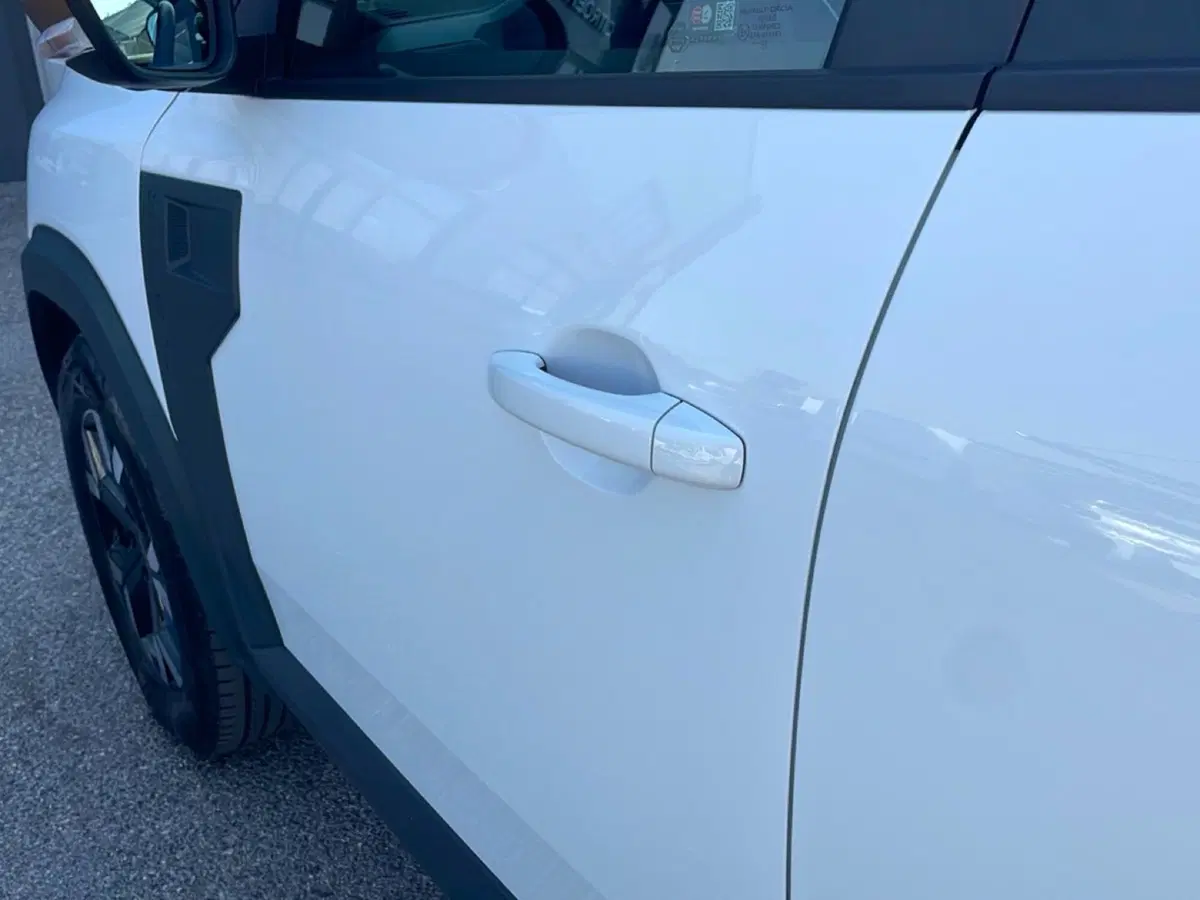 Dacia Duster usata a Bologna (10)