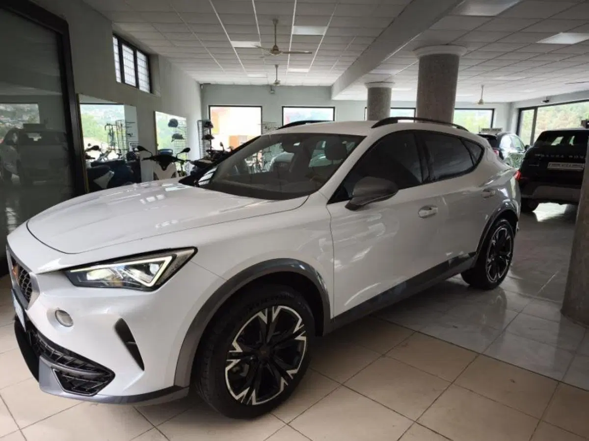 Cupra Formentor usata a Salerno (10)