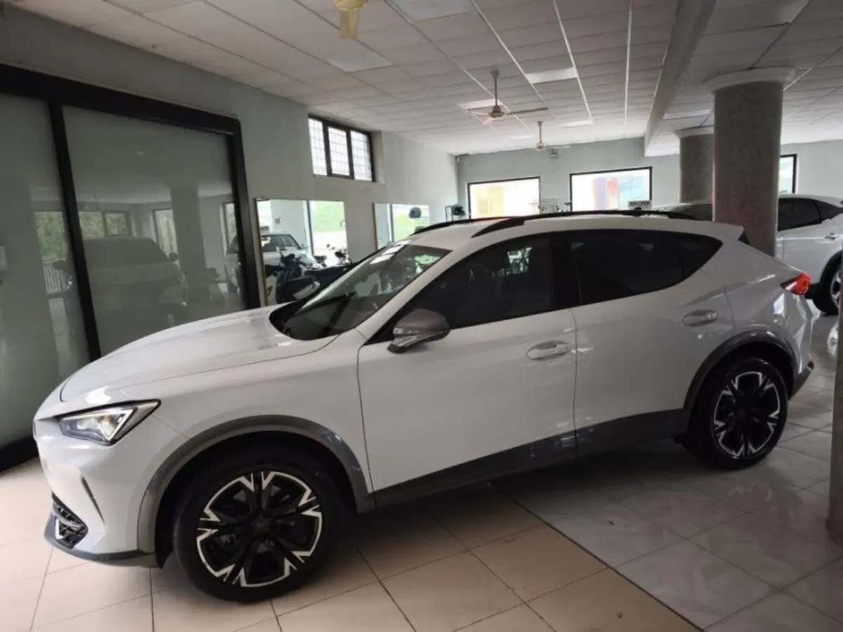 Cupra Formentor usata a Salerno (11)