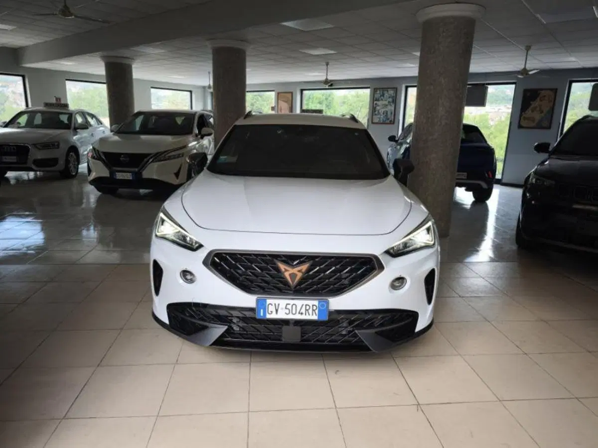 Cupra Formentor usata a Salerno (9)