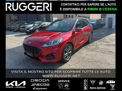 Ford Kuga 1.5 EcoBlue 120 CV 2WD ST-Line del 2023 usata a Rimini