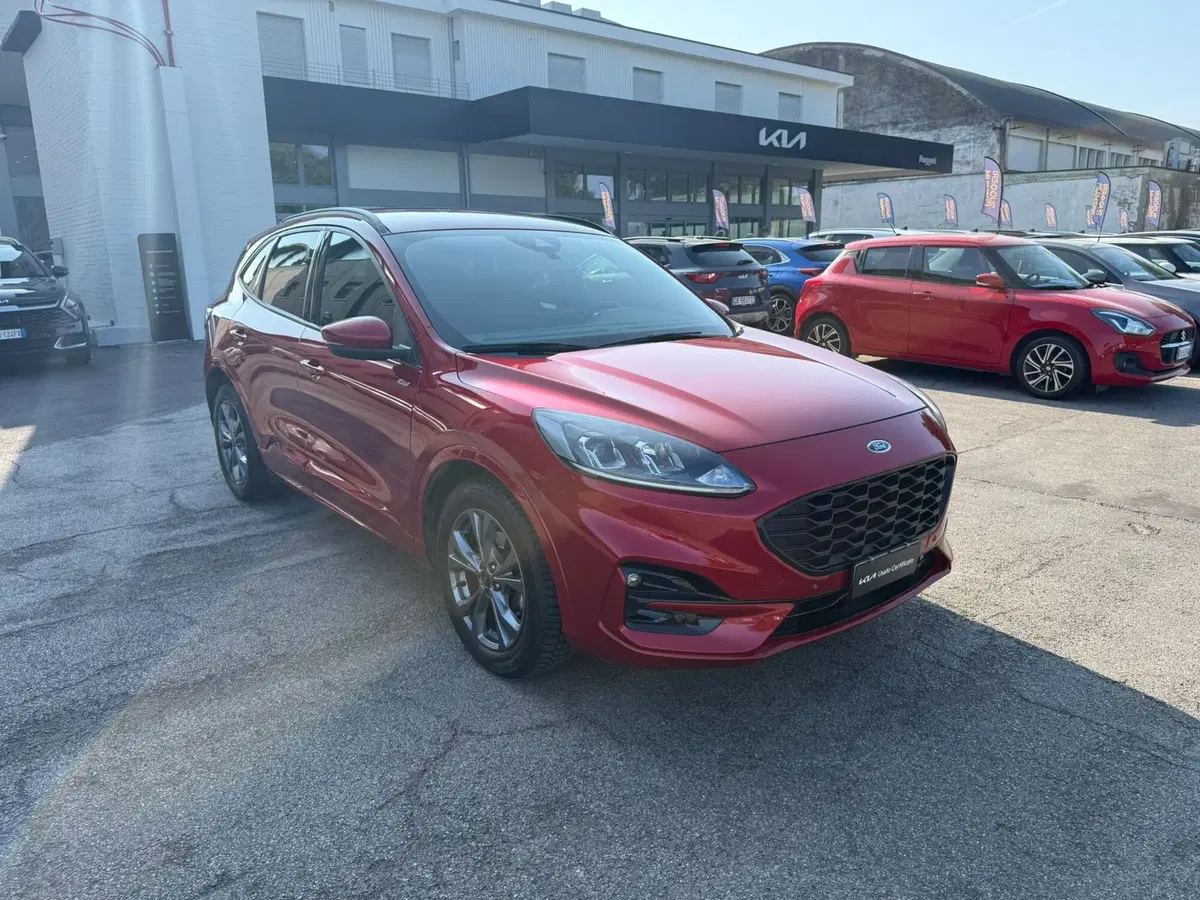 Ford Kuga usata a Rimini (3)
