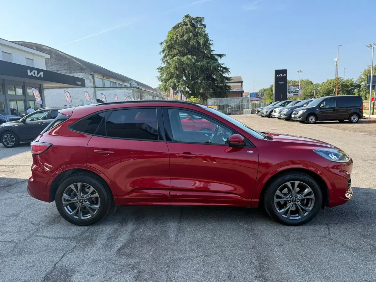 Ford Kuga usata a Rimini (4)