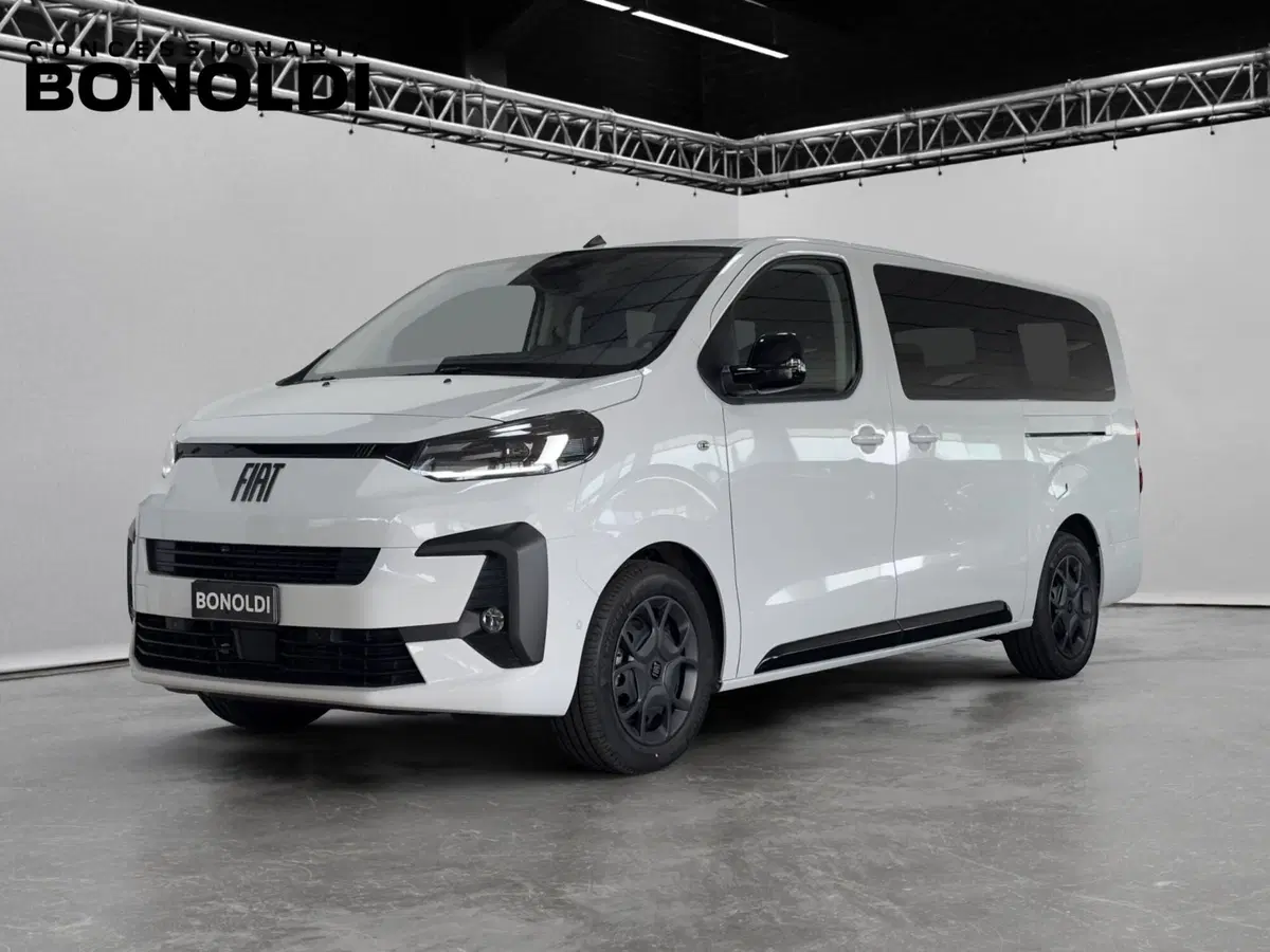 Fiat Ulysse usata a Brescia