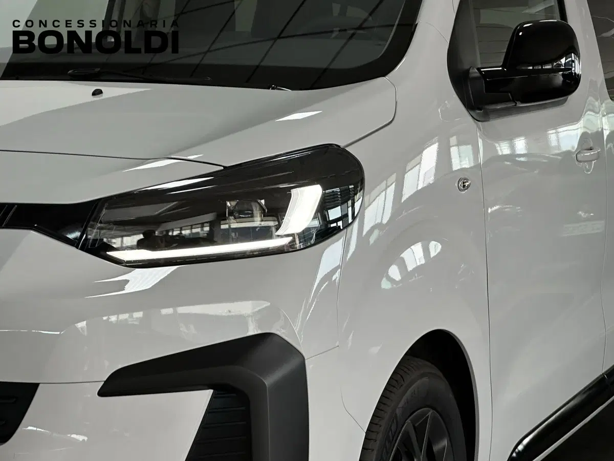 Fiat Ulysse usata a Brescia (2)