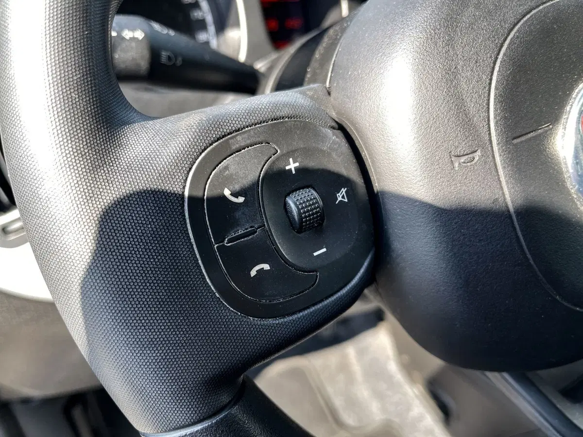 Fiat Panda usata a Venezia (12)