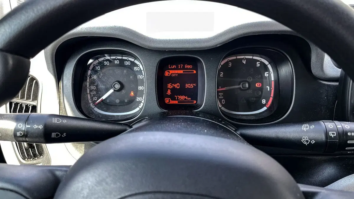 Fiat Panda usata a Venezia (13)