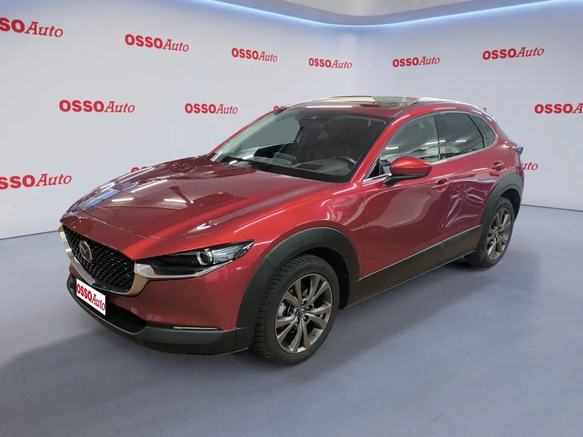 Mazda CX-30 usata a Udine