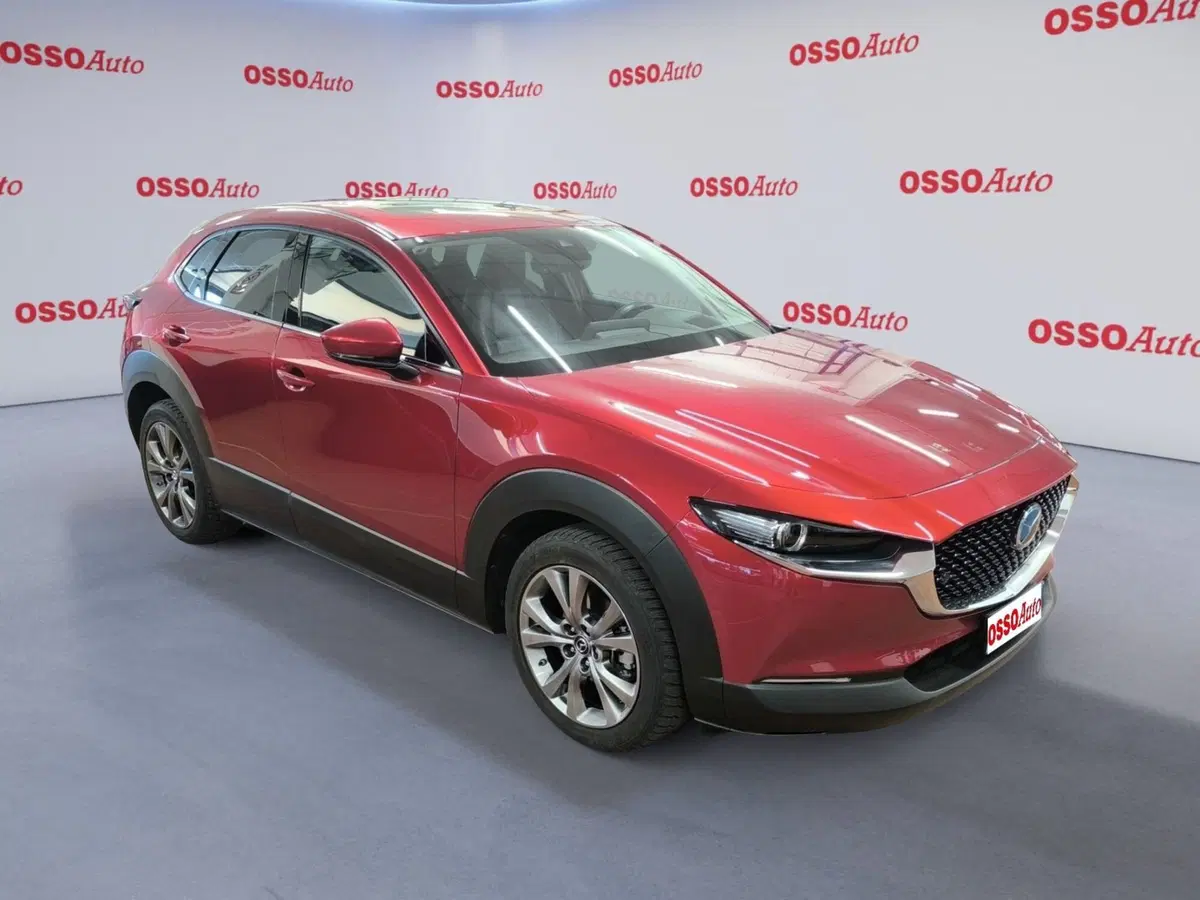 Mazda CX-30 usata a Udine (2)