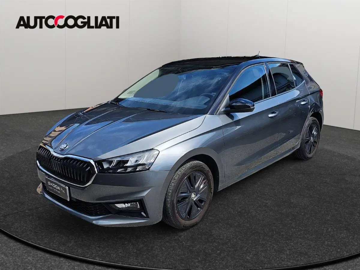 Skoda Fabia usata a Lecco