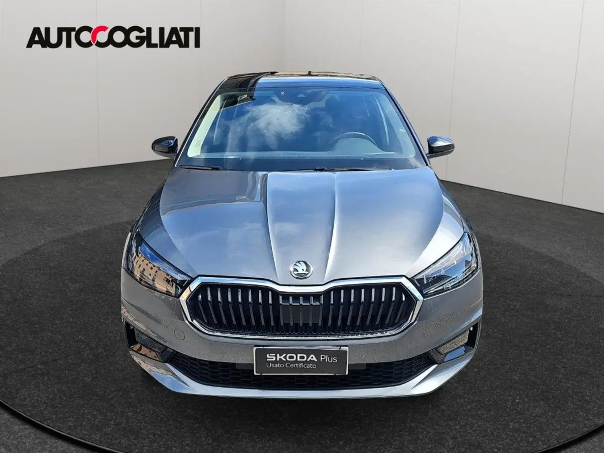 Skoda Fabia usata a Lecco (2)