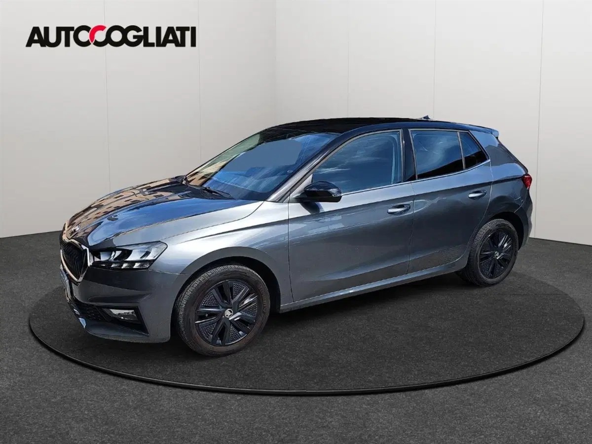 Skoda Fabia usata a Lecco (3)