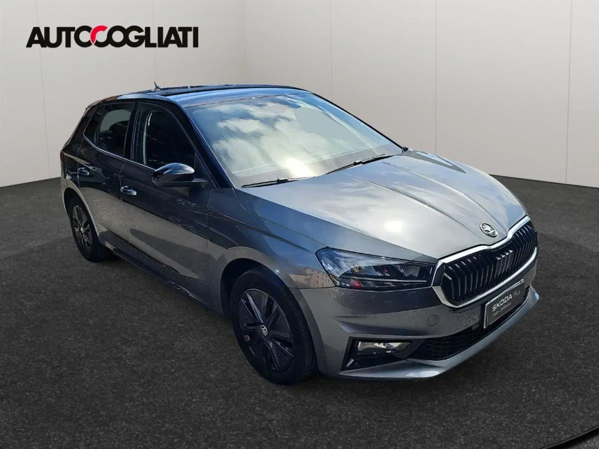 Skoda Fabia usata a Lecco (4)