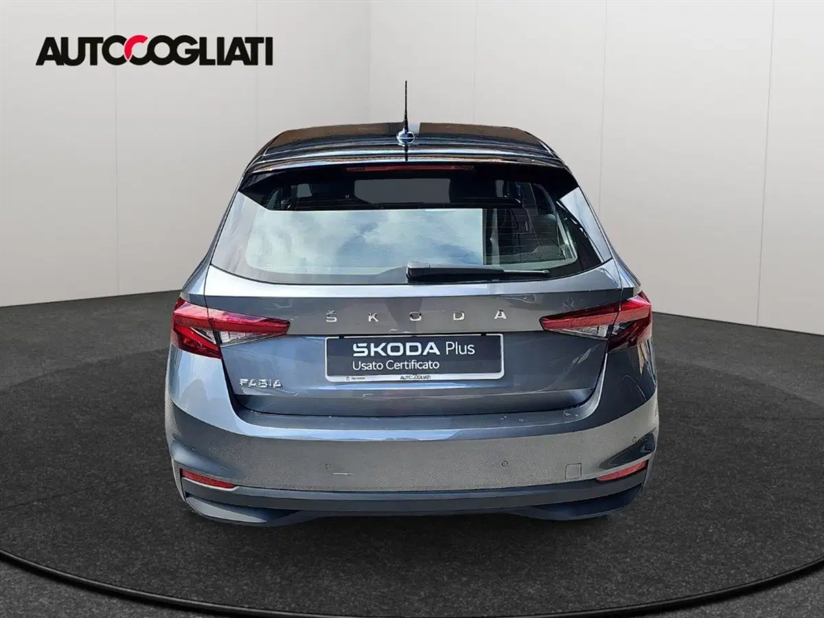 Skoda Fabia usata a Lecco (8)