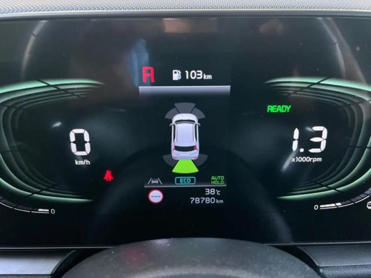 Kia Niro usata a Sassari (8)