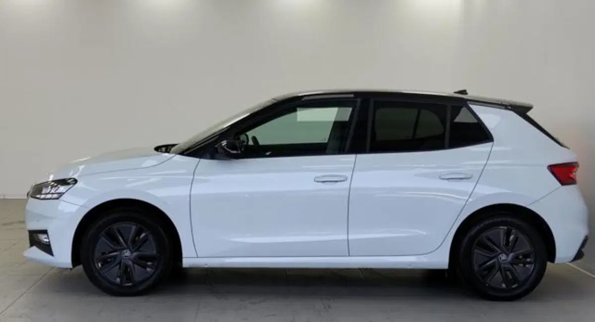 Skoda Fabia usata a Como (8)