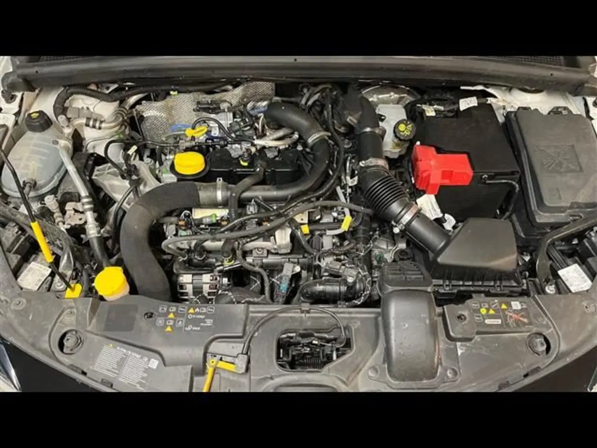 Renault Clio usata a Firenze (14)