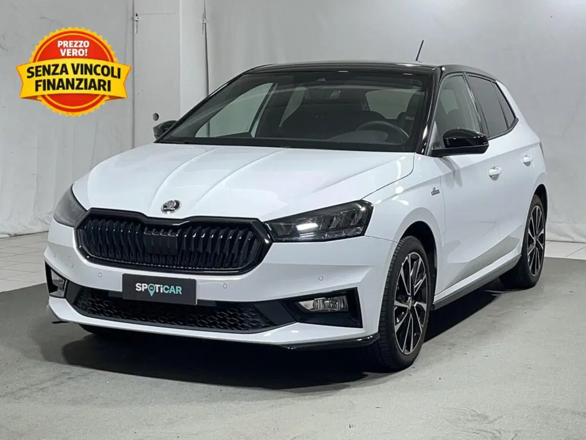 Skoda Fabia usata a Sondrio