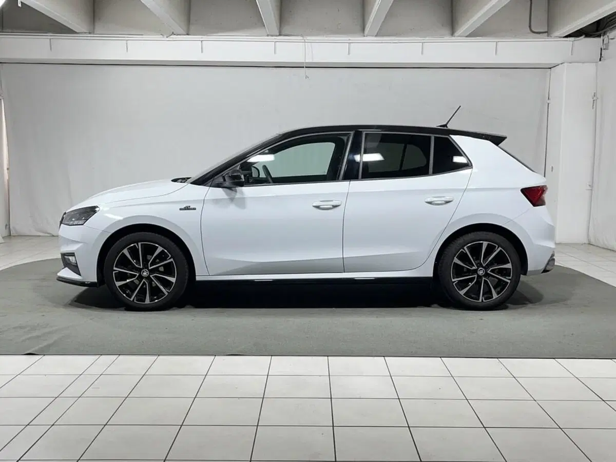 Skoda Fabia usata a Sondrio (2)