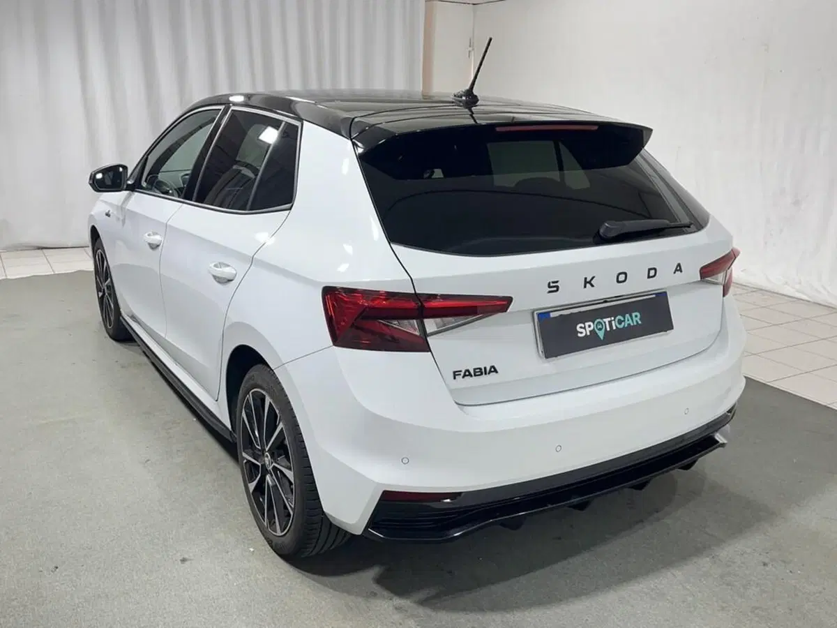 Skoda Fabia usata a Sondrio (3)