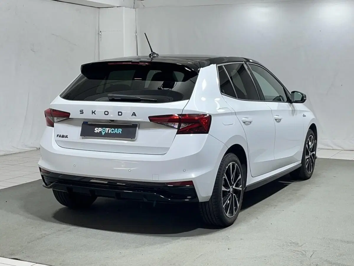 Skoda Fabia usata a Sondrio (5)