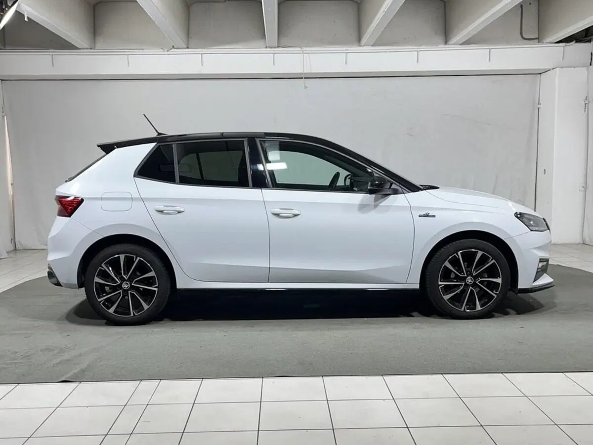 Skoda Fabia usata a Sondrio (6)