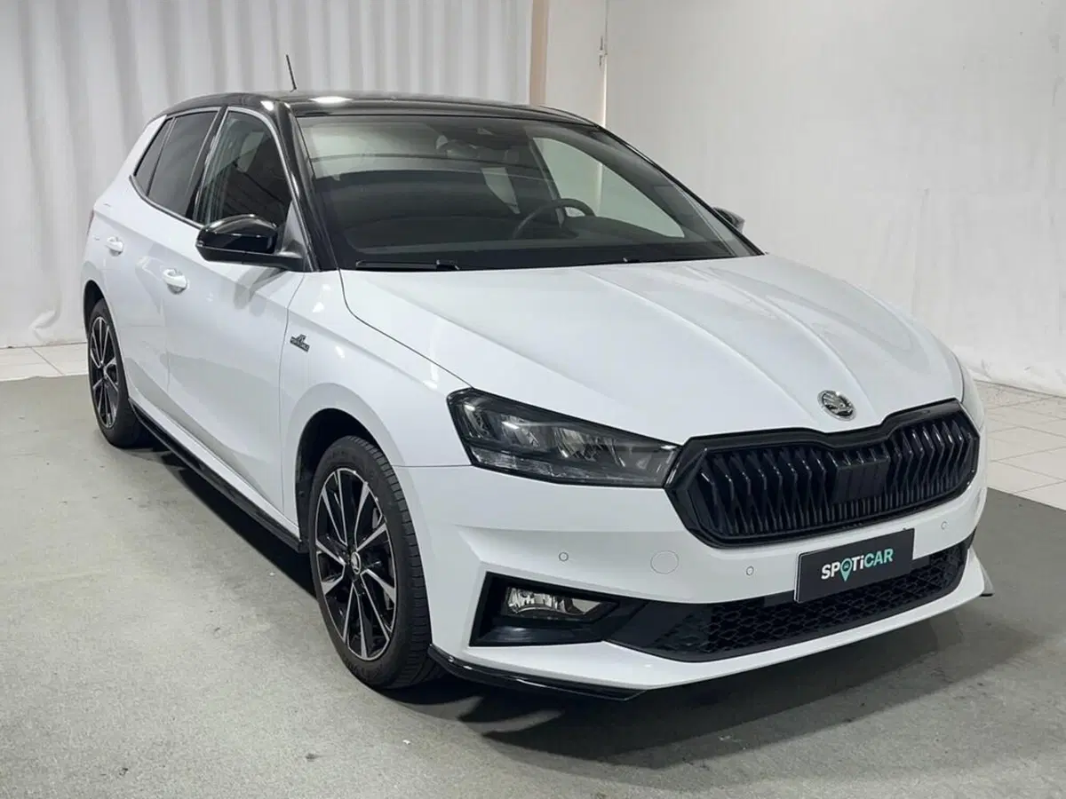 Skoda Fabia usata a Sondrio (7)
