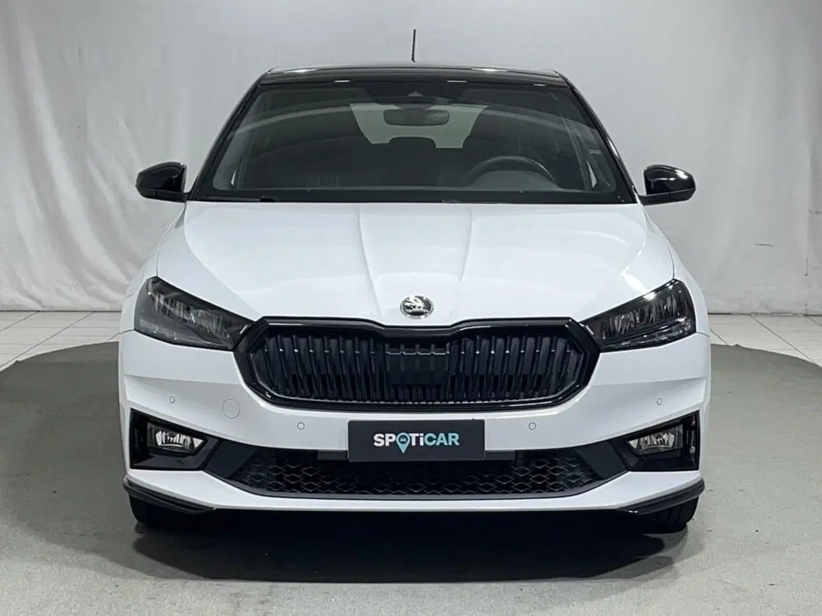 Skoda Fabia usata a Sondrio (8)