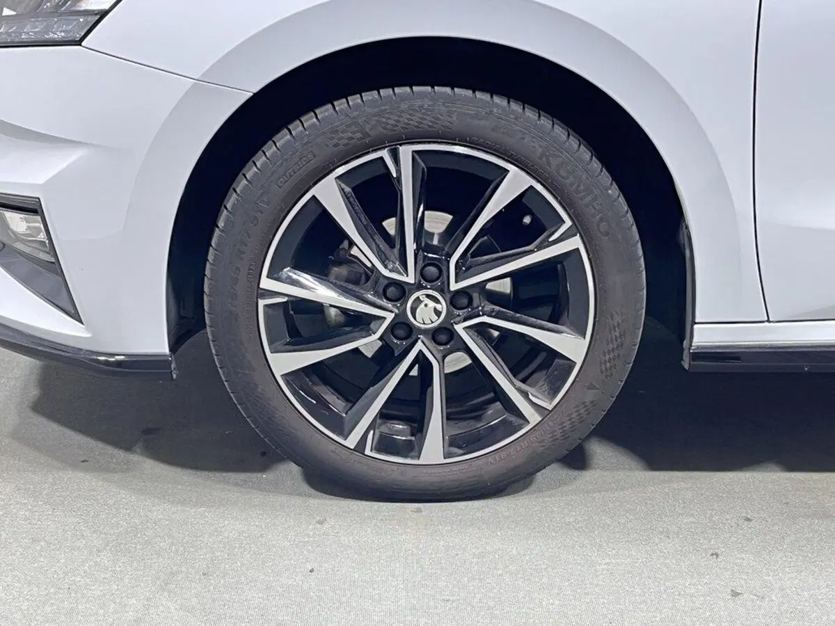 Skoda Fabia usata a Sondrio (9)