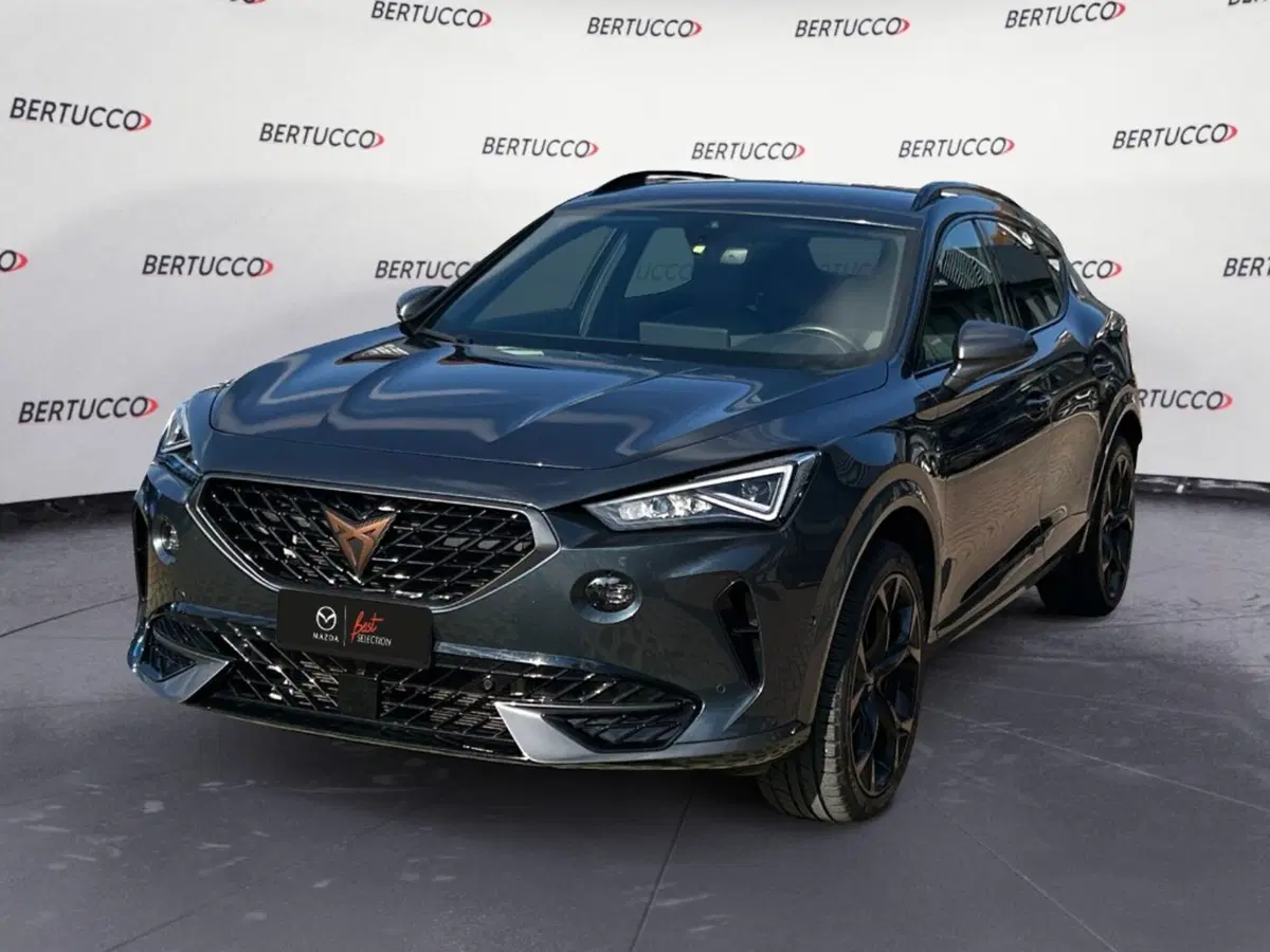 Cupra Formentor usata a Verona (3)