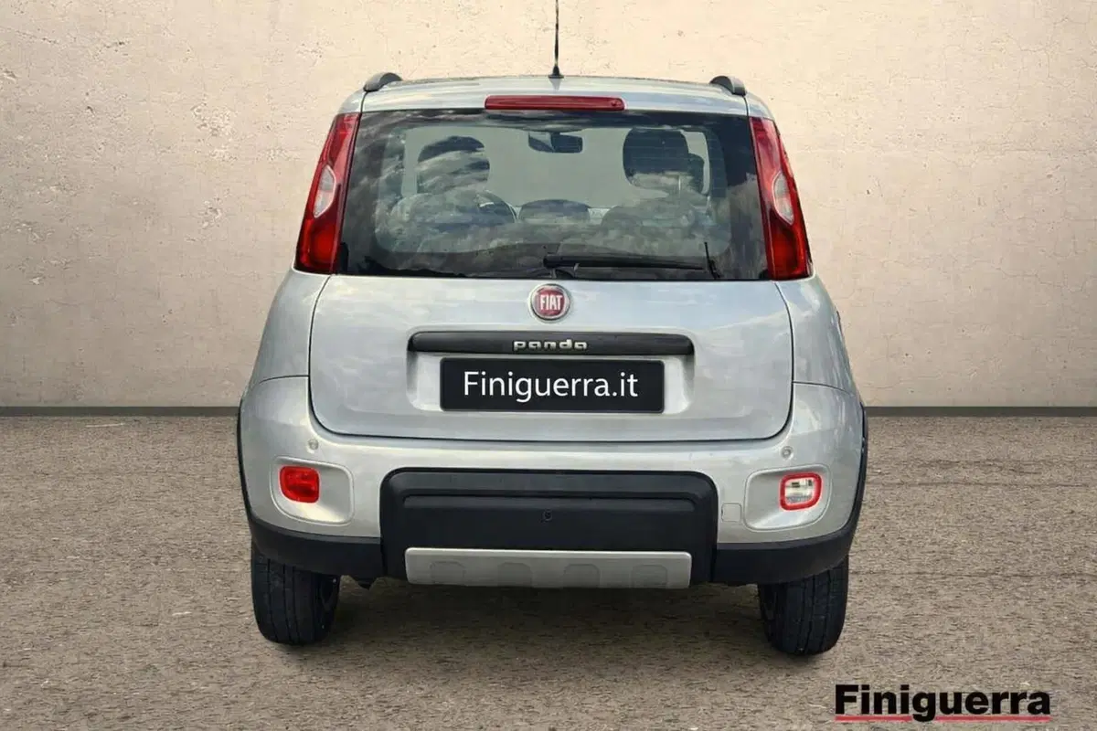 Fiat Panda usata a Sondrio (3)