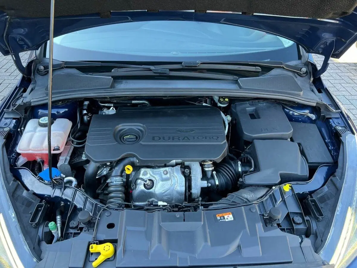 Ford Focus Station Wagon usata a Sondrio (17)
