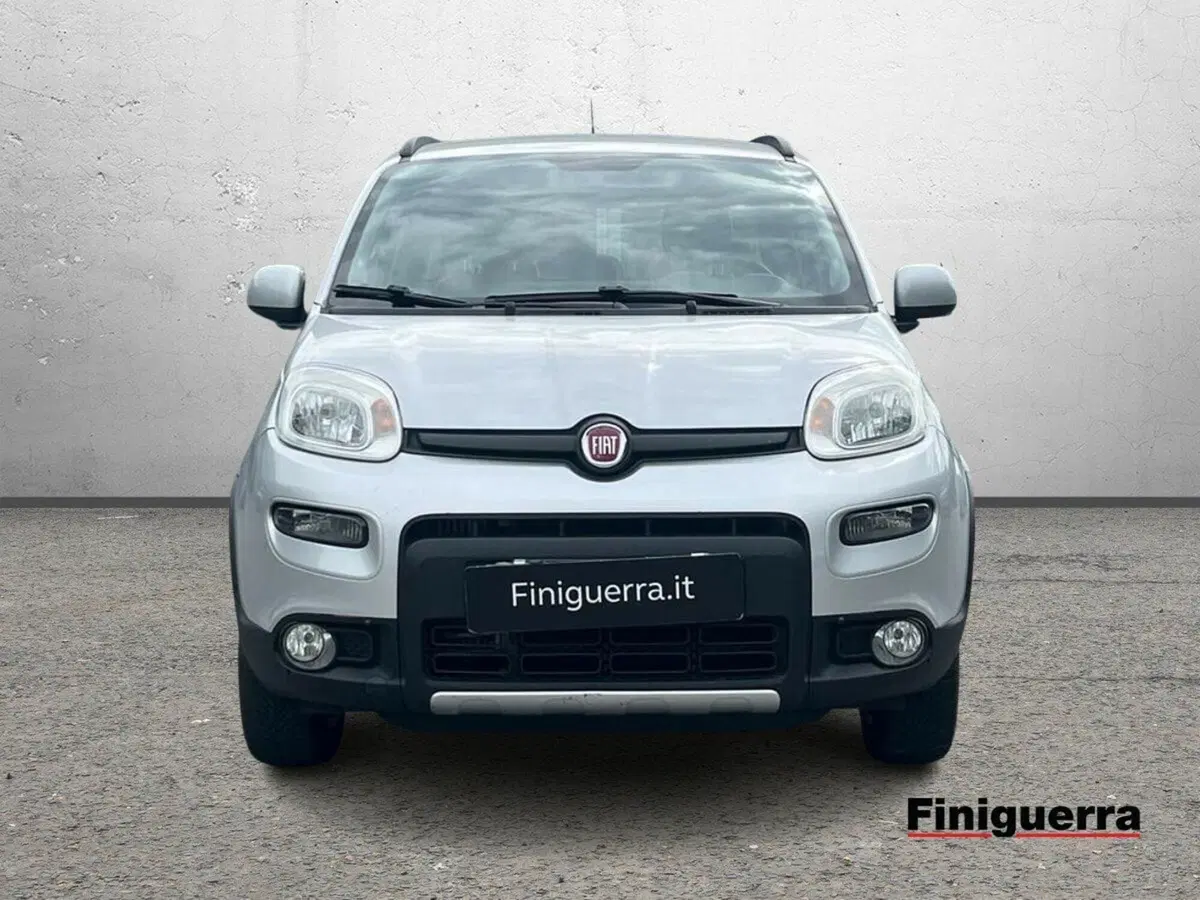 Fiat Panda usata a Sondrio (2)