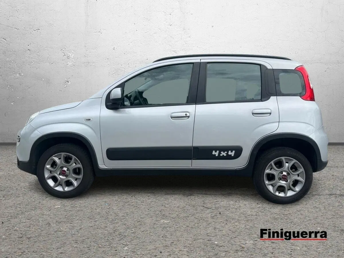 Fiat Panda usata a Sondrio (6)
